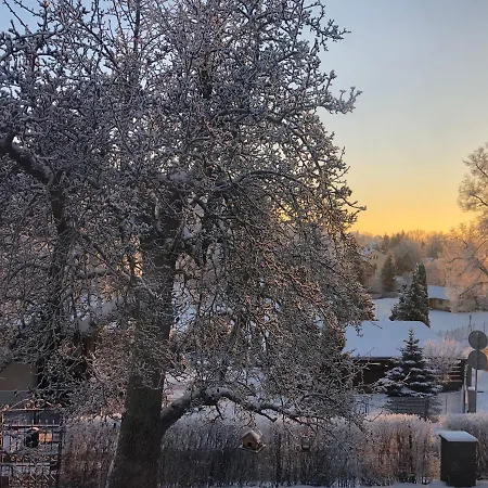 Red Tree * 弗尔赫拉比