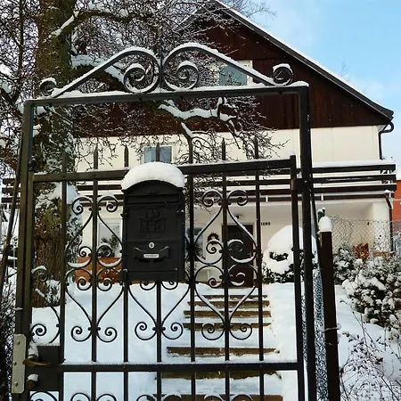 Red Tree 弗尔赫拉比