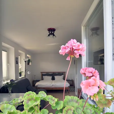 Apartament Red Tree